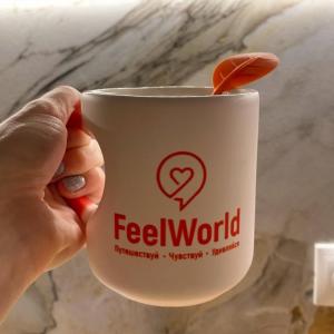 Фотография Feelworld 4