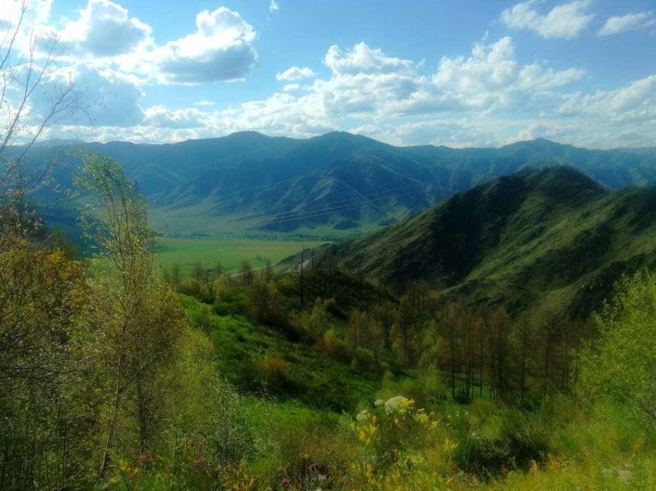 слайд
