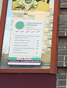 Фотография Лягушка-путешественница 4