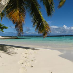 Фотография SeaView 2